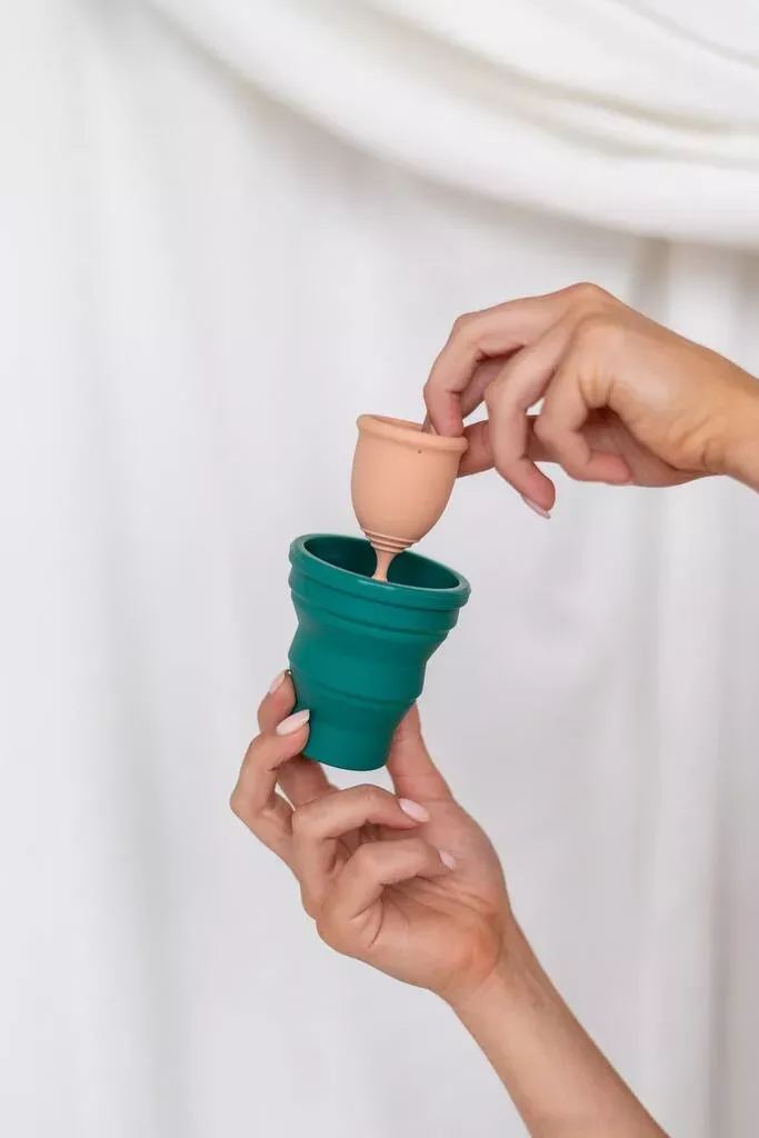 Miniatuur 2